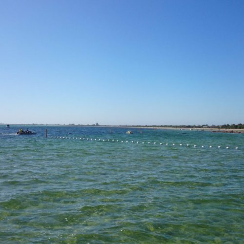 Safer Swimming Australia Barrier Nets and Secure Swimming Areas and Enclosures