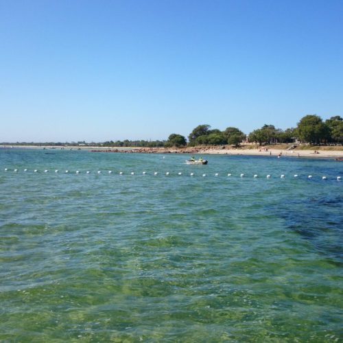 Safer Swimming Australia Barrier Nets and Secure Swimming Areas and Enclosures