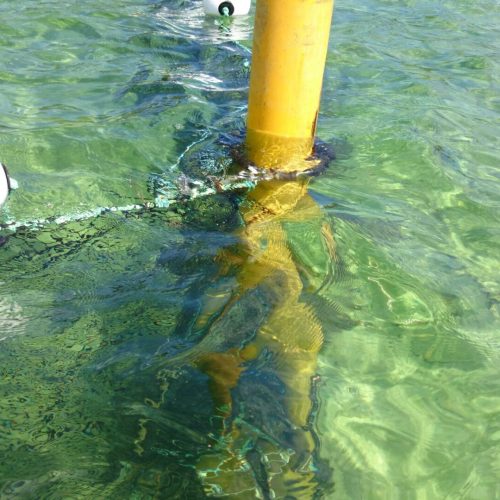 Safer Swimming Australia Barrier Nets and Secure Swimming Areas and Enclosures