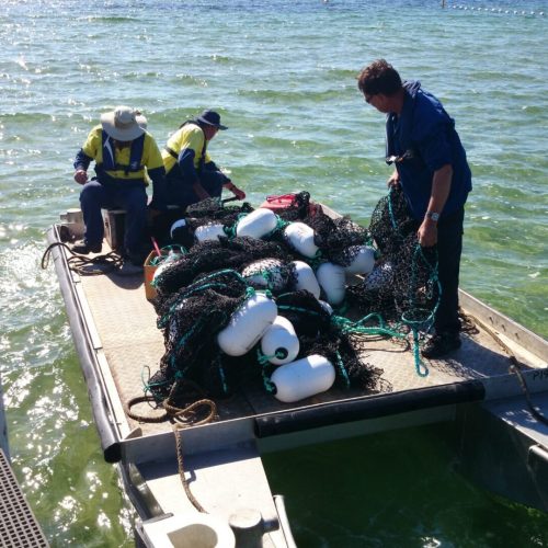 Safer Swimming Australia Barrier Nets and Secure Swimming Areas and Enclosures